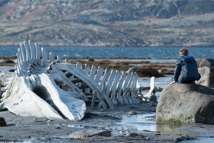 <b>leviathan</b>